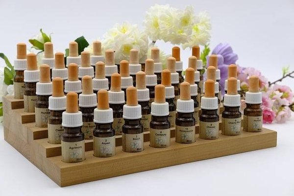 Qu'est-ce que la naturopathie et quels sont ses principes ?